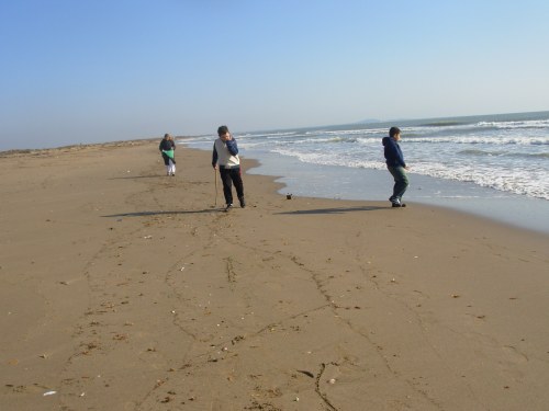 photo11